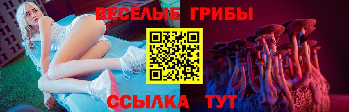 Калининград  Псилоцибиновые грибы GOLDEN TEACHER  Вход с VPN 